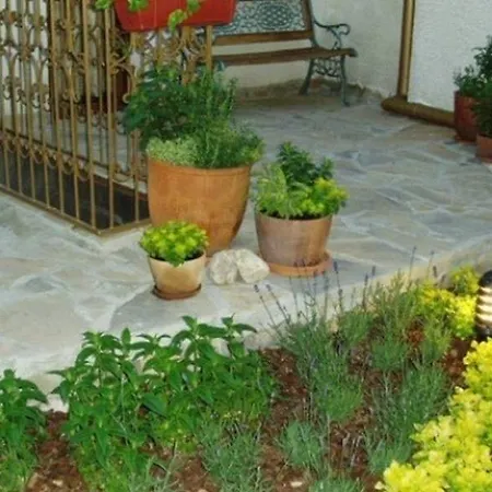 Kirios 3* 内塞伯尔